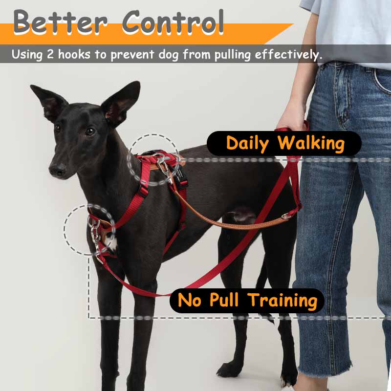Mysudui 5 1多機能調節可能な犬のリードでハンドフリ - Leather Strap Quick Release のレビューと価格
